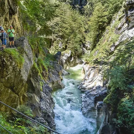 Topp Rossmoos Daire *