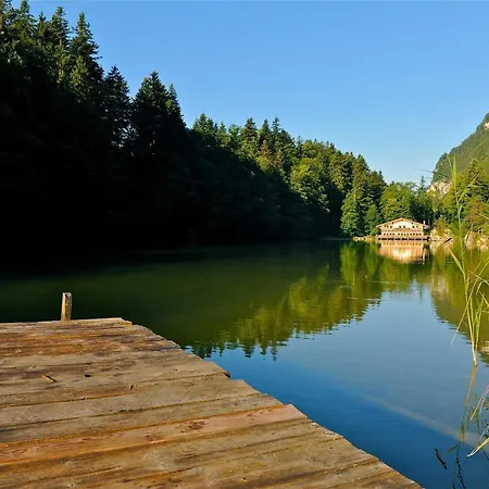 Topp Rossmoos דירה אלפבאך