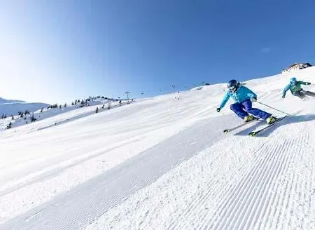 Topp Rossmoos * Alpbach