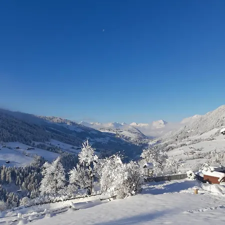 Daire Topp Rossmoos Alpbach