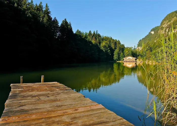 Topp Rossmoos Appartement Alpbach