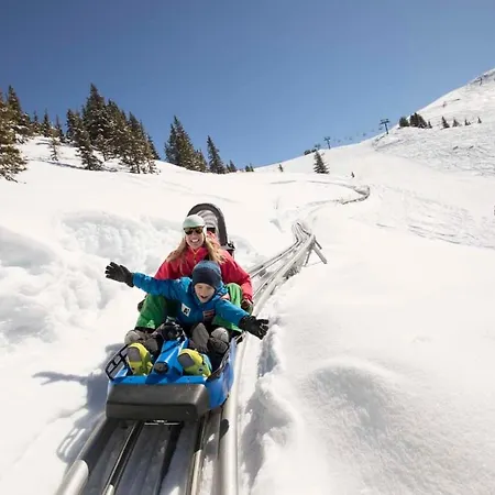 Topp Rossmoos Alpbach